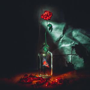 Shouldve, Couldve, Wouldve (Explicit)