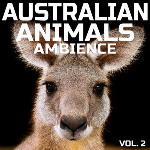 Australian Animals Ambience, Vol.2