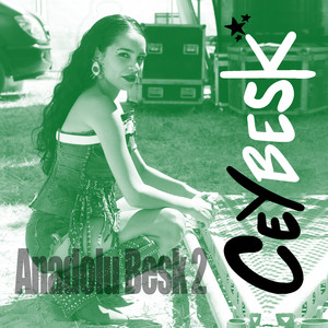 Anadolu Besk 2