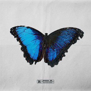 Hollywood (Explicit)