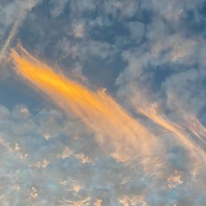 Go Bananas (Explicit)