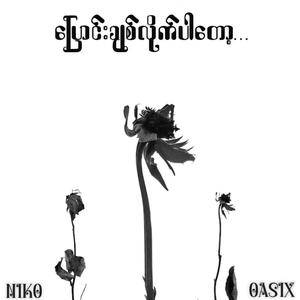 Pyaung Chit Lite Par Tot (feat. NIKO) (Explicit)