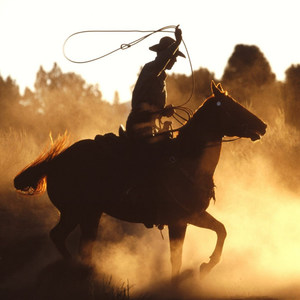 The Prairie Far Away