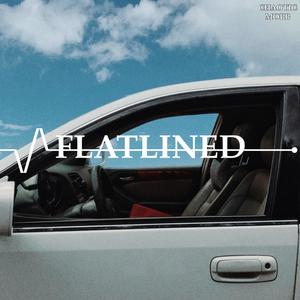 Flatlined (feat. Seth Galindo) (Explicit)