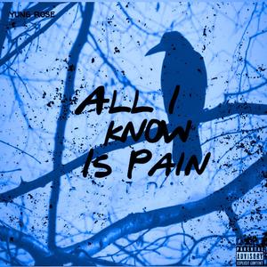 All I Know Is Pain (Explicit)