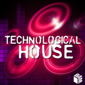 Technological House