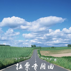 拉票专用曲