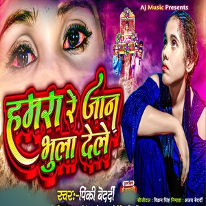 Hamra Re Jan Bhula Dele