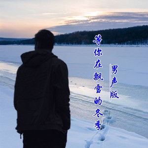 等你在飘雪的冬季