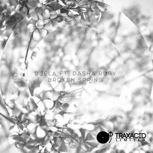 Broken Spring (Original Mix)