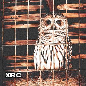 Sw (Er) (Instrumental)