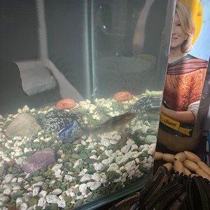 on my mind (Explicit)