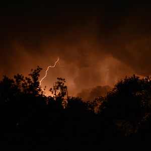 Rain Between Branches