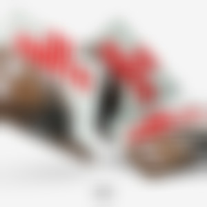 Fat Bootys (Explicit)