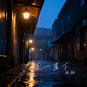 雨一直下 (深情版) - 林栖封面