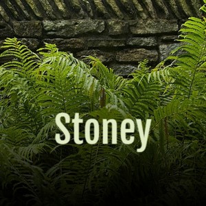 Stoney