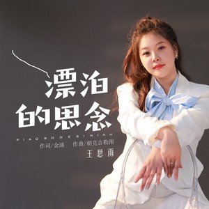 漂泊的思念