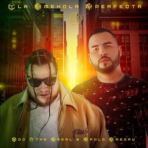 TPNLL (feat. Polo Medru & Alan Tnt) (Explicit)