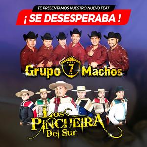 Se Desesperaba│Grupo 7 Machos Junto a Los Pincheira del Sur