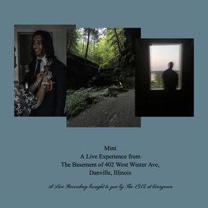 Backyard Summer (Live)