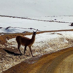 Trampa para Dos(feat. Fabián Noriega)