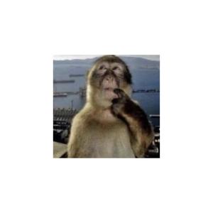 lemme think of sum (Explicit)