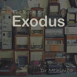 Exodus (feat. TaSkipper)