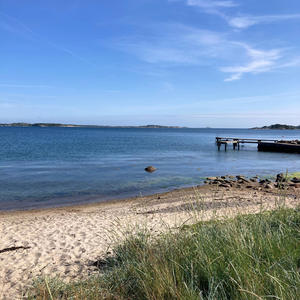 Ett hjärta som slår