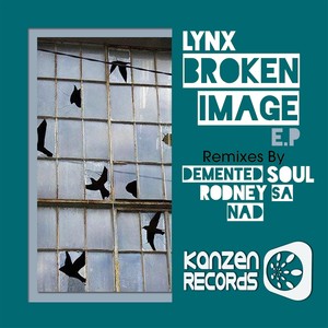 Broken Image (Demented Soul's AfroTech Mix)