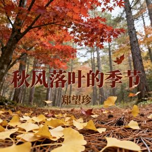 秋风落叶的季节