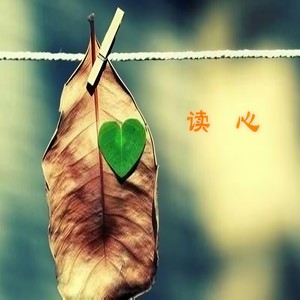 读心 (浓情版)