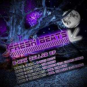 Feel The Funk (Original Mix)