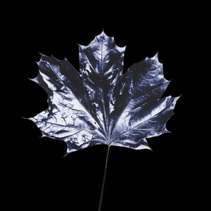 FRÜHSTÜCK AUF TERRASSE (IM SOMMER) (Instrumental)