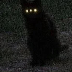 Convenient (feat. prod.z3ll x zoc) (Sped up) (Explicit)