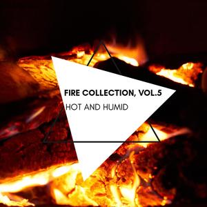 Hot and Humid - Fire Collection, Vol.5