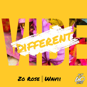 Different Vibe (Explicit)