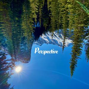 Perspective