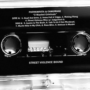 MAKING STANG - Slowed (Explicit)