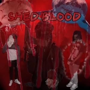 SHED BLOOD (feat. Rob & Lilrico)