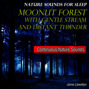 Nature Sounds for Sleep: Moonlit Forest with Gentle Stream and Distant Thunder