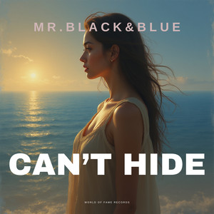 Can't Hide (Radio Edit)