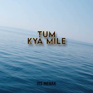 Tum Kya Mile (Lofi)