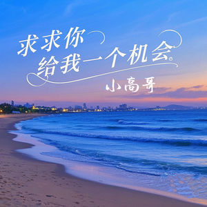 求求你给我一个机会