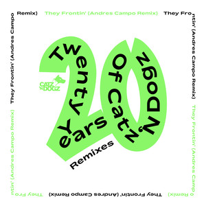 They Frontin' (Andres Campo Remix)