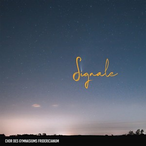 Chor Des Gymnasiums Fridericianum - Sympathique