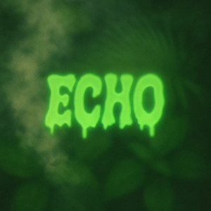 Echo