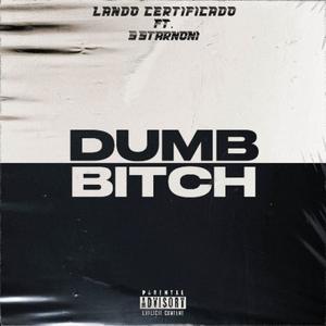 DUMB ***** (feat. 5starnoni) (Explicit)