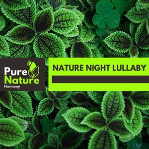 Nature Night Lullaby