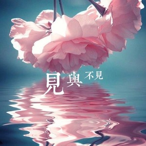 见与不见