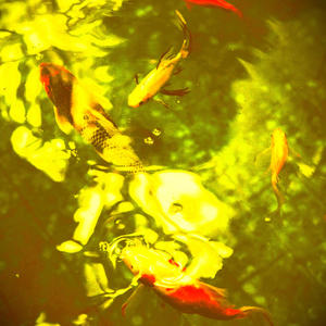 Koi Pond Posse (feat. Pink Navel & Nancy Kneebrace) (Explicit)